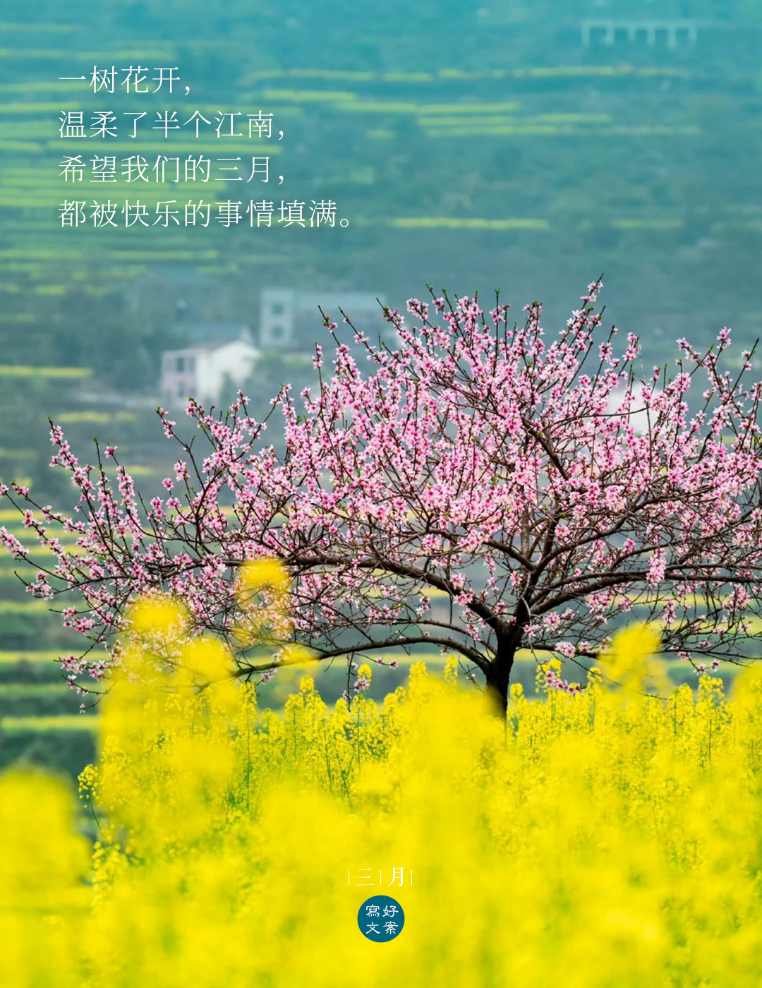 超小众的三月文案惊艳治愈