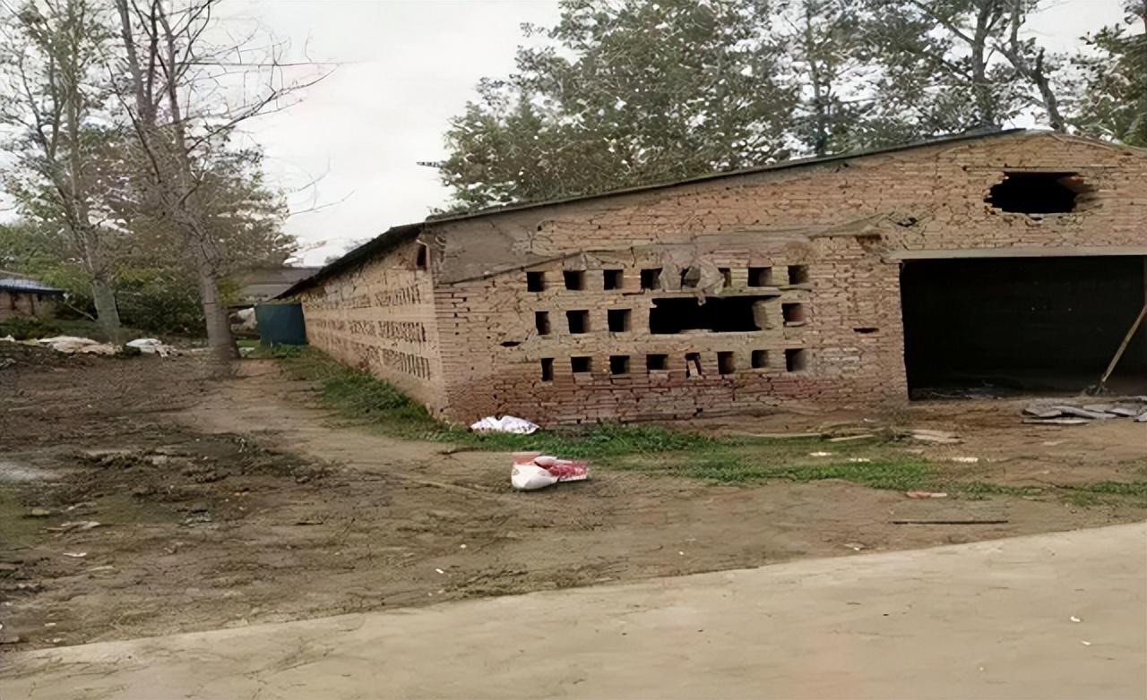 2018年,湖北一养鸡场土地泥土呈灰白色,警方调查后牵出惊天大案