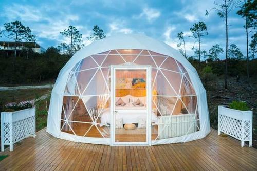 星空民宿帐篷酒店在旅游市场中的地位如何?