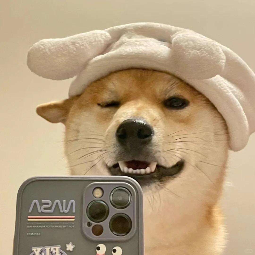 自信狗子头像