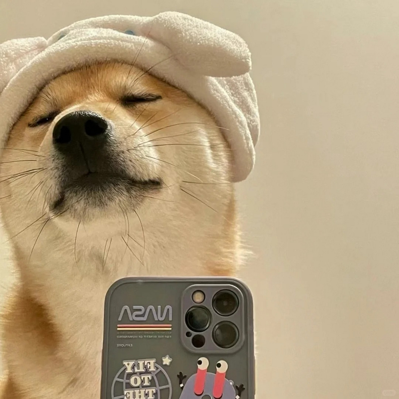 自信狗子头像  发现一组自信狗子头像!