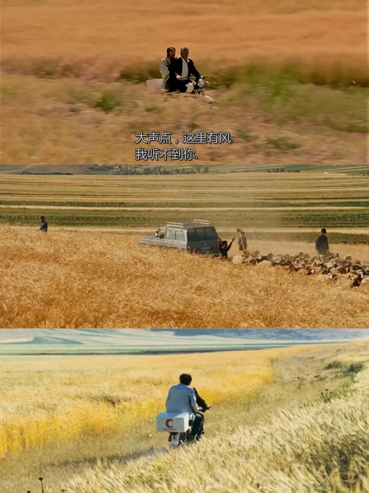 家人们,我发现了一部宝藏电影!《随风而逝》真的太让人上瘾了!