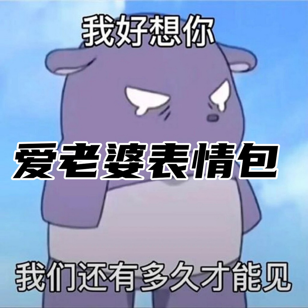 独家揭秘:让老婆心花怒放的专属表情包来啦!