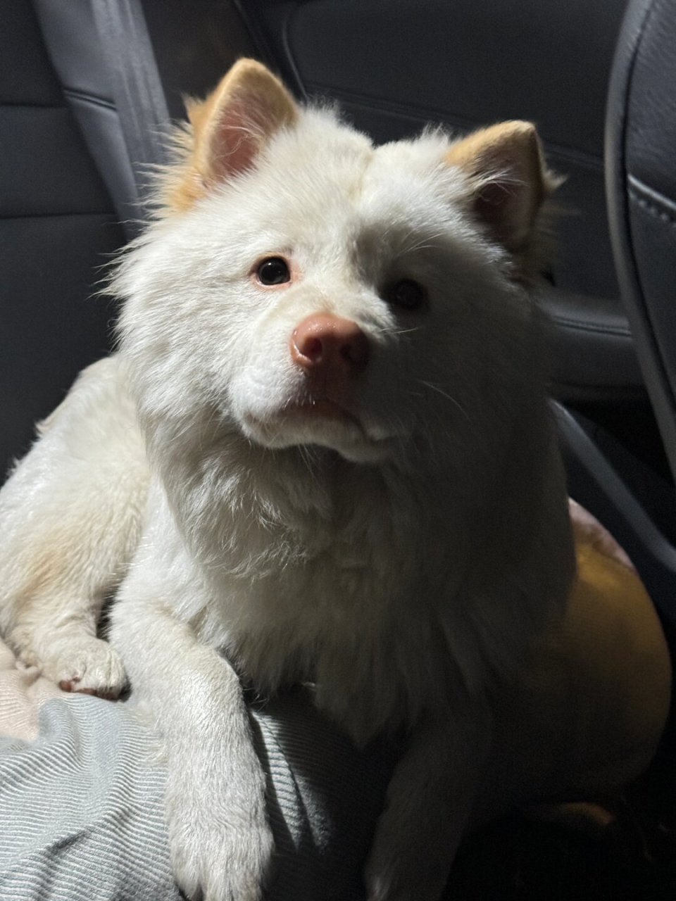 白土松也可以那么帅!