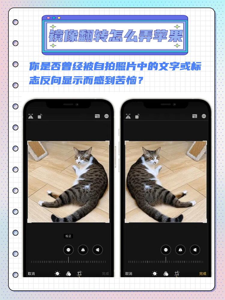 iphone左右翻转照片图片