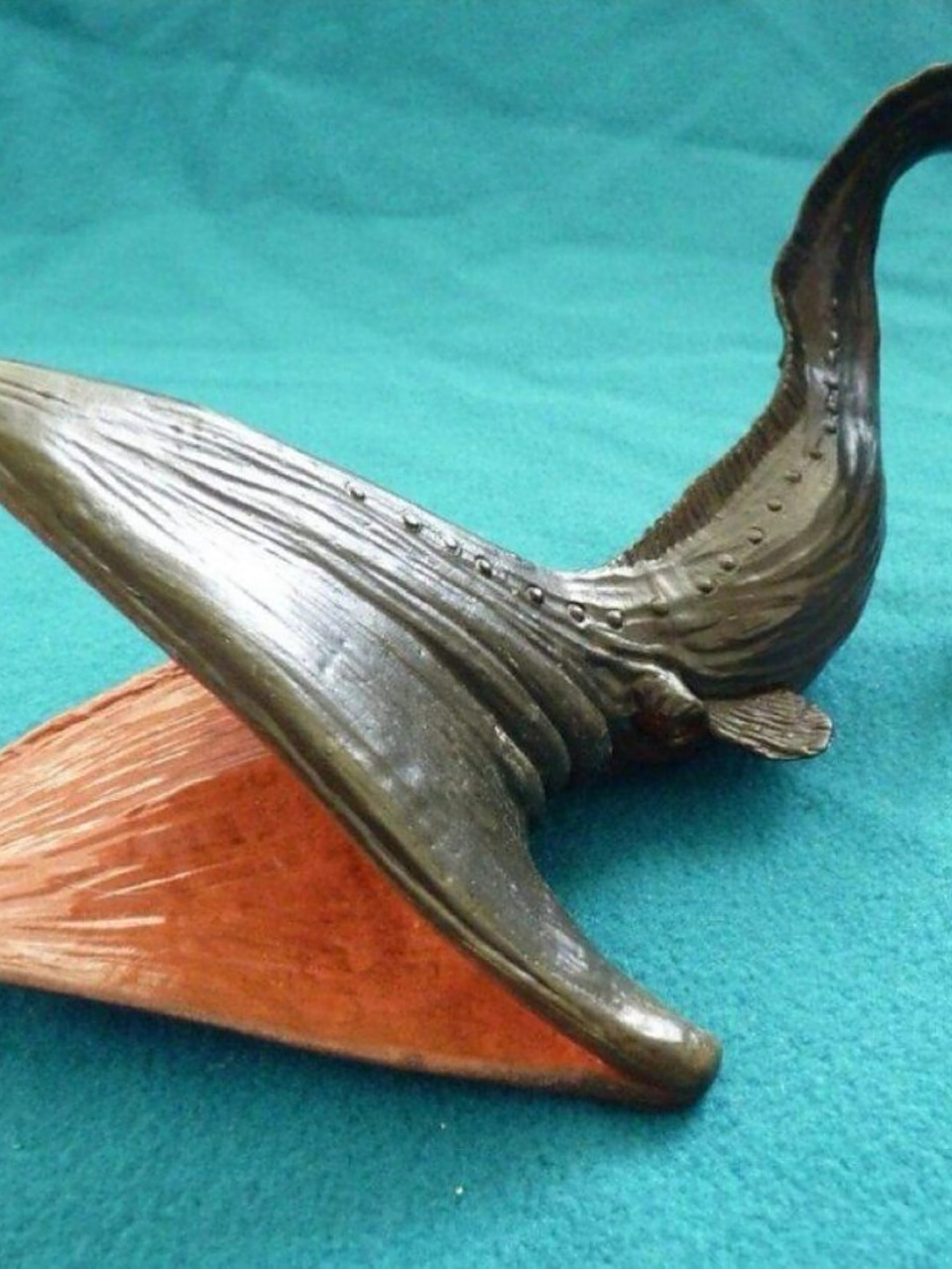 每天了解一种趣味动物 宽咽鱼	  🐟宽咽鱼,这个神秘的水中生物,又名