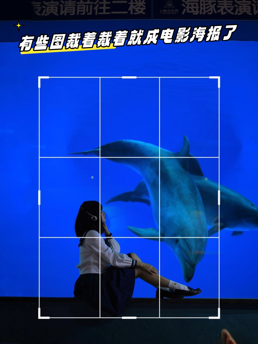 弥摄影构图素材绘画教程，一分钟就会