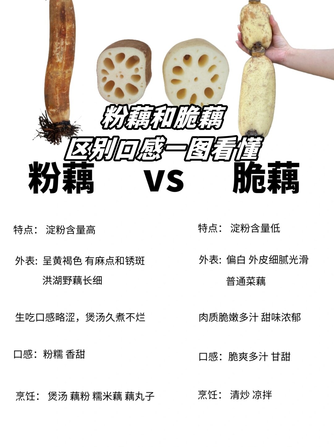 粉藕和脆藕区别口感一图看懂