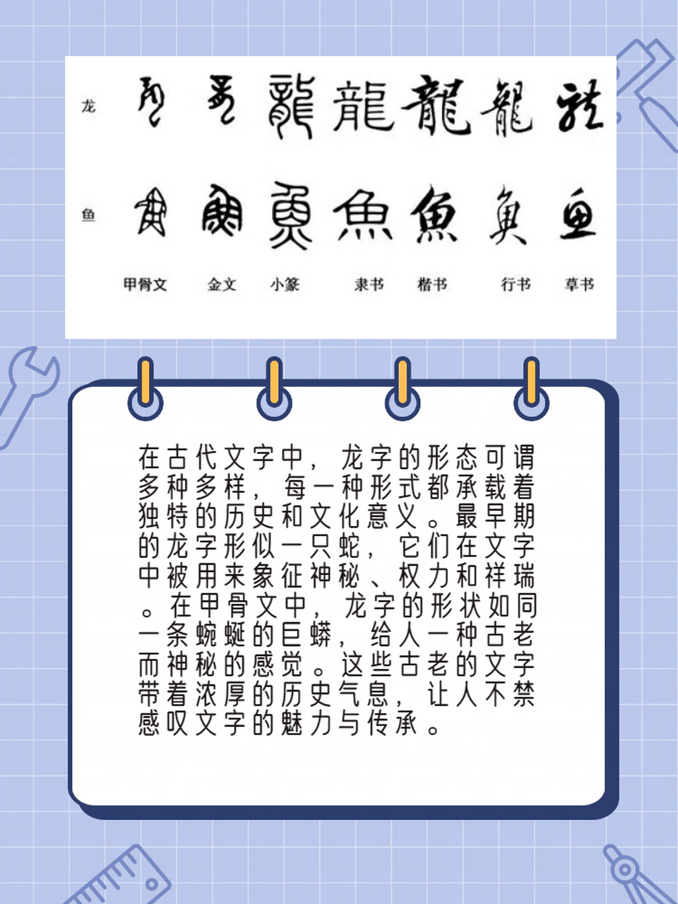 龙字的演变过程作文450字