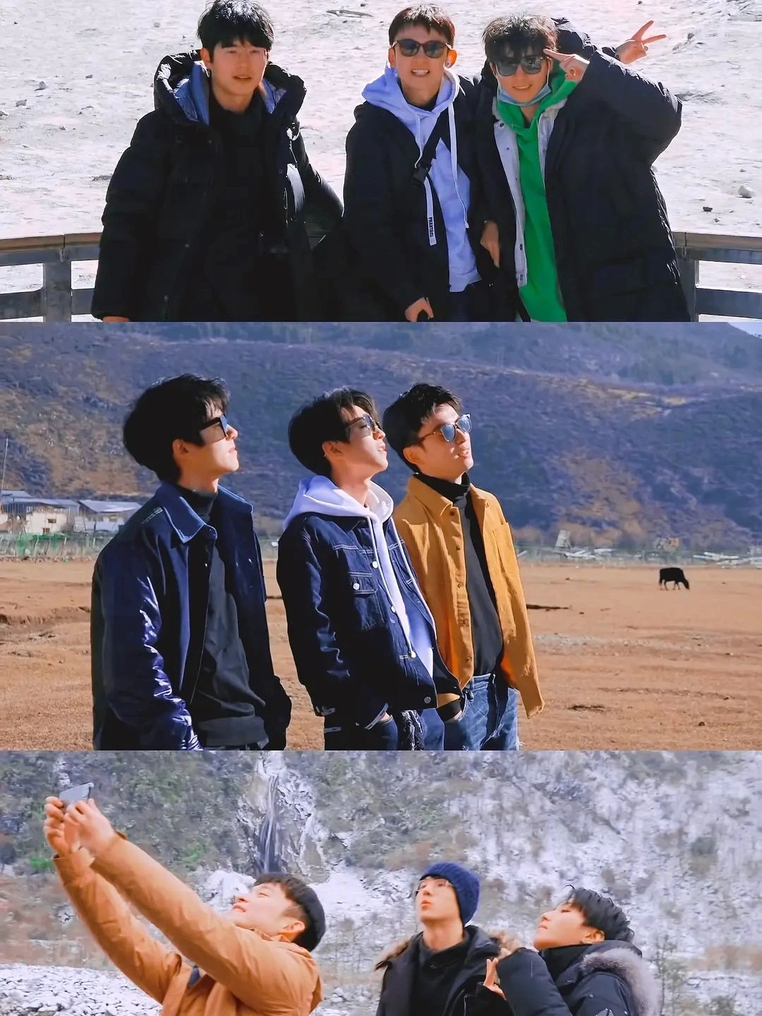 0的高分可不是盖的!董子健,刘