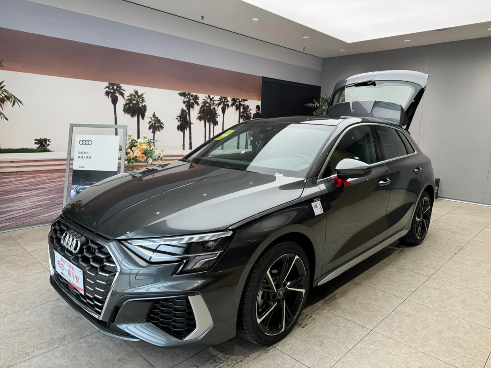 17w拿下心头爱 奥迪a3 天云灰  曾经的我,一直在考虑新能源的选择04