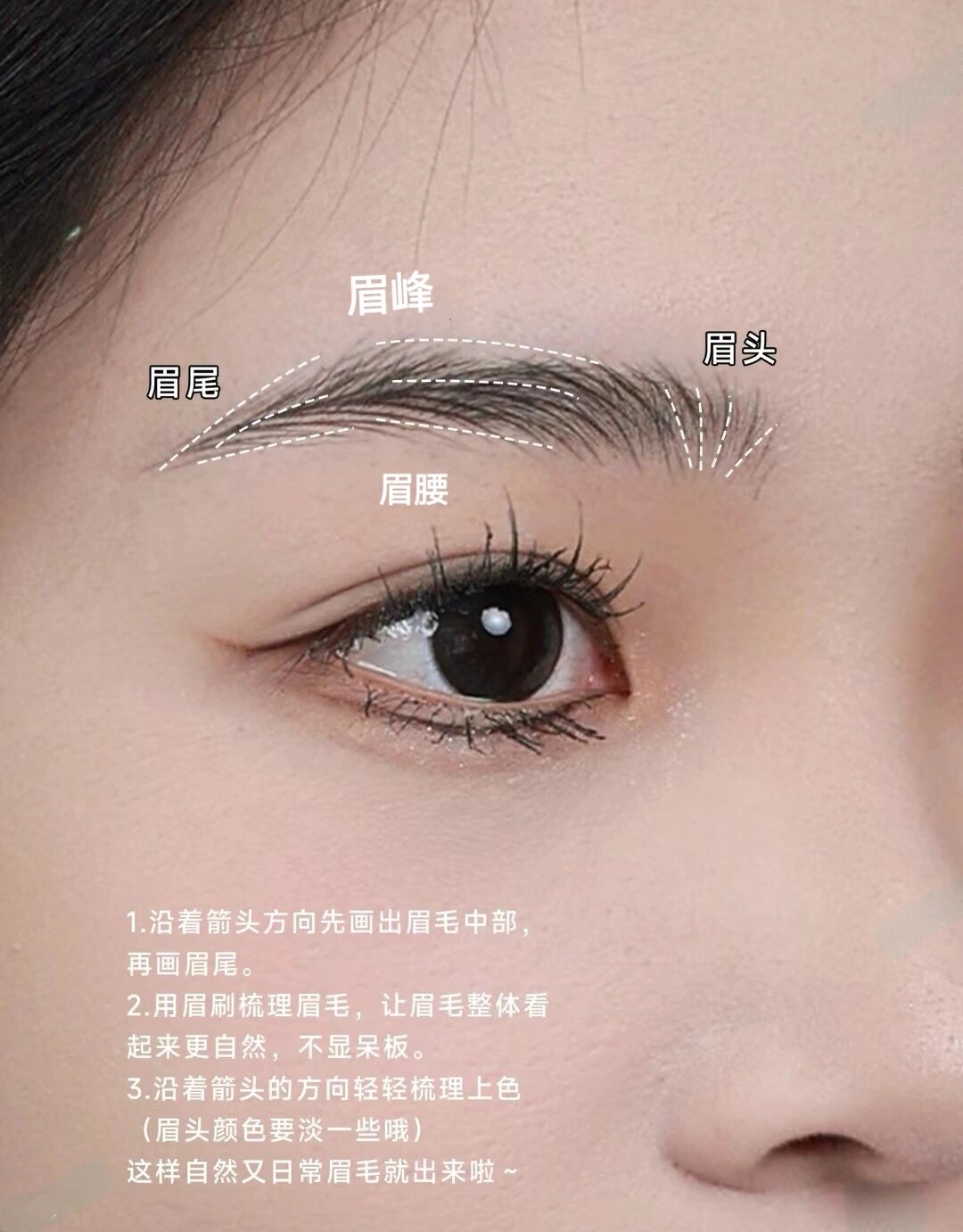 眉毛小白们是时候学画眉毛啦