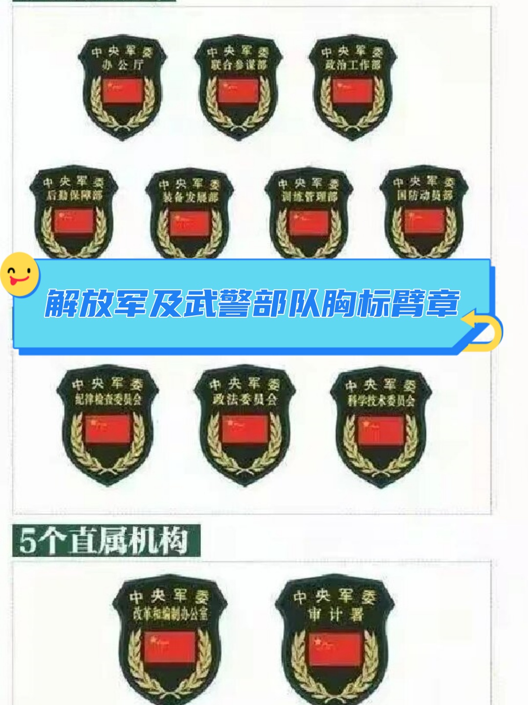 从绿色的橄榄枝到金色的五角星,每一个细节都讲述着军人的故事