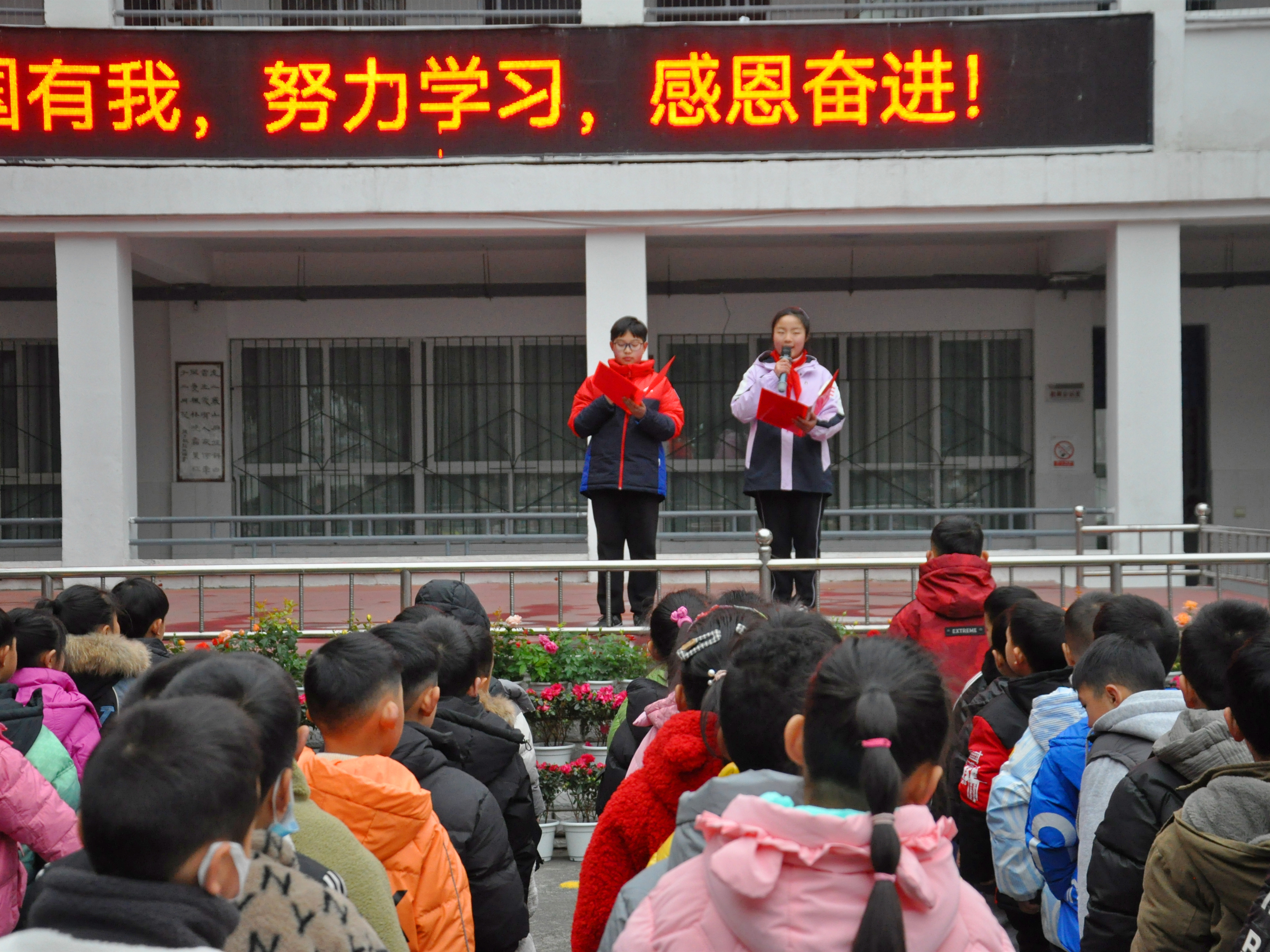 桑枣小学图片