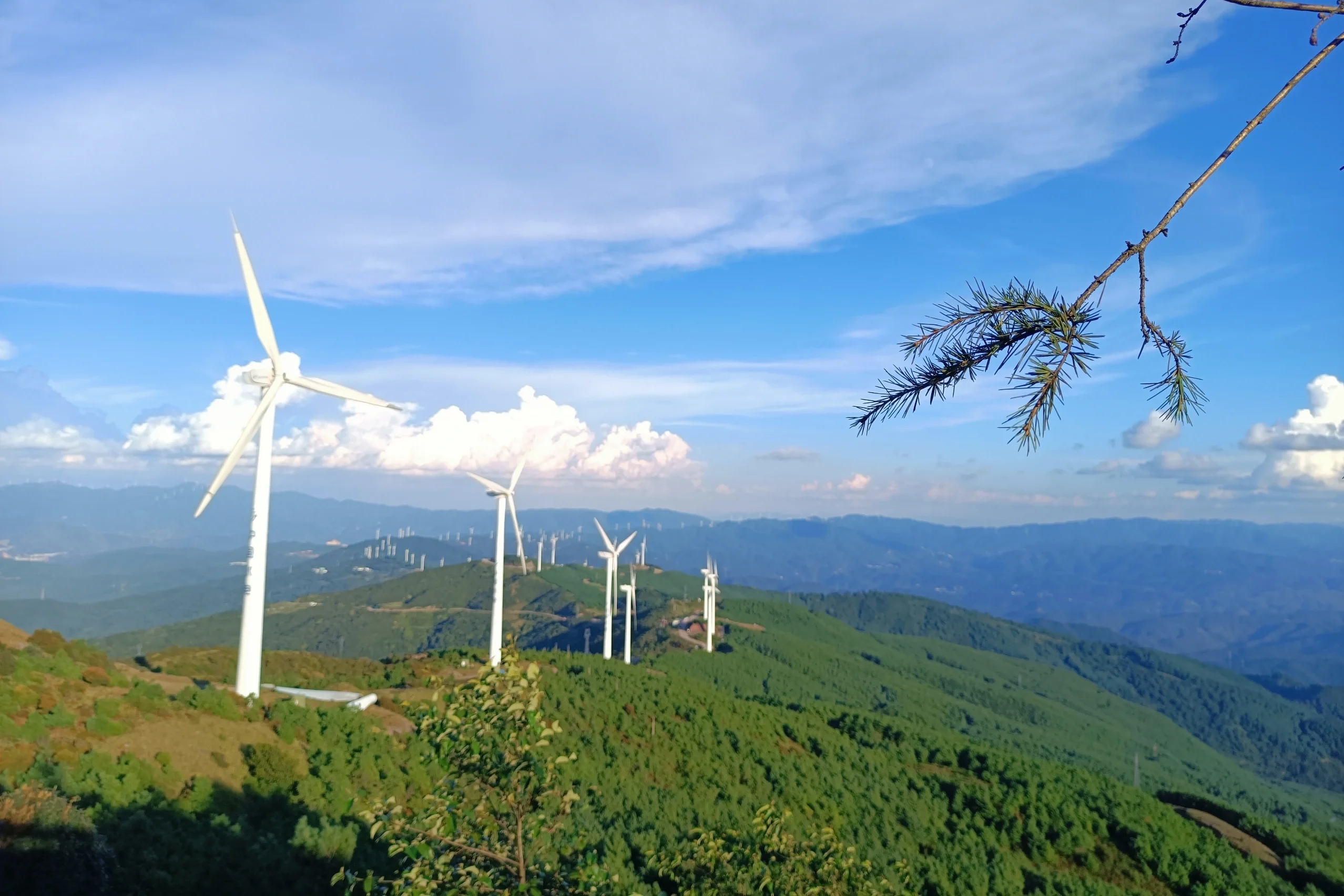 高山草甸美景图片图片