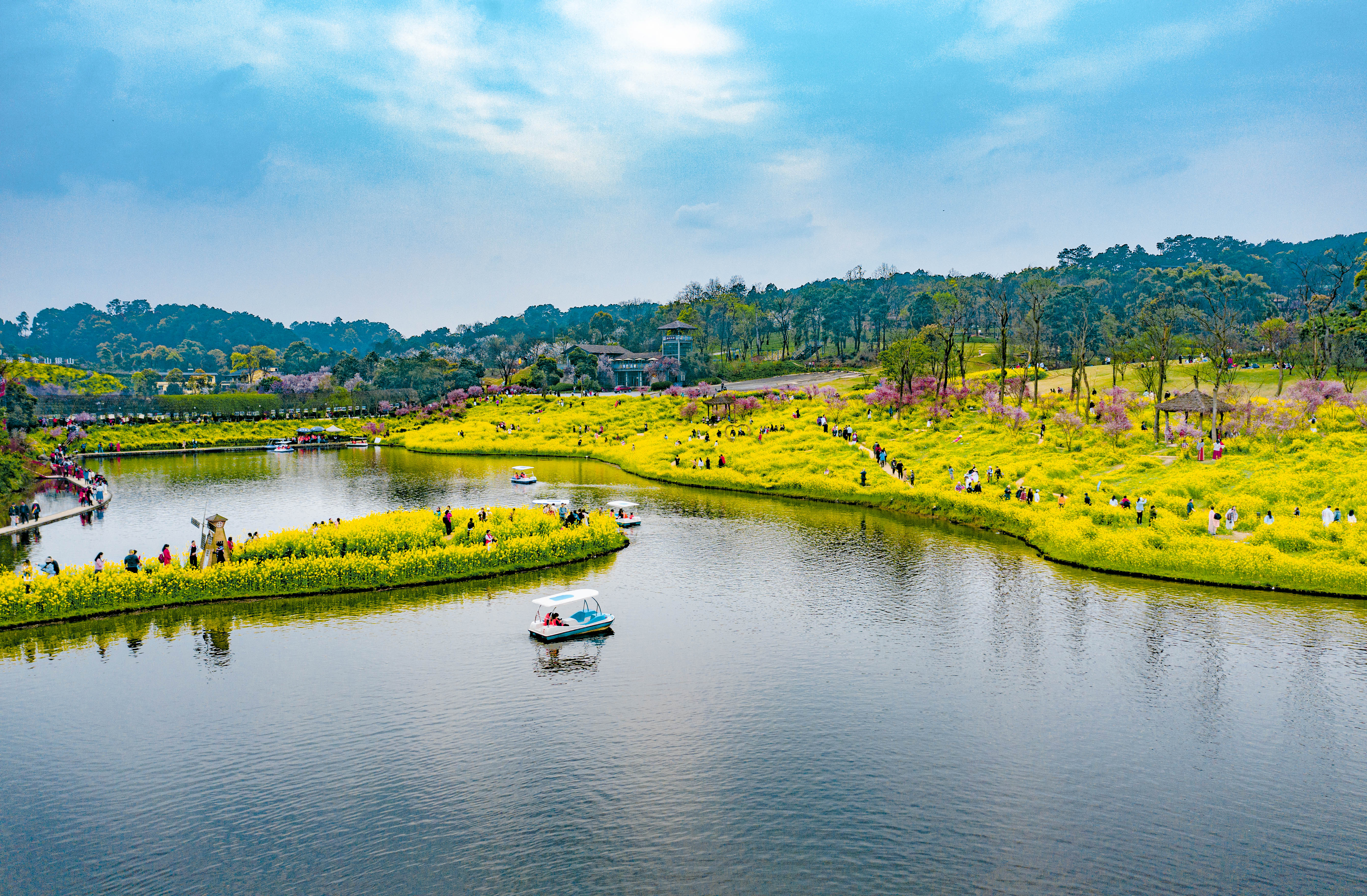 《巴南云林天乡:诗意油菜花开,宁静田园等你来》