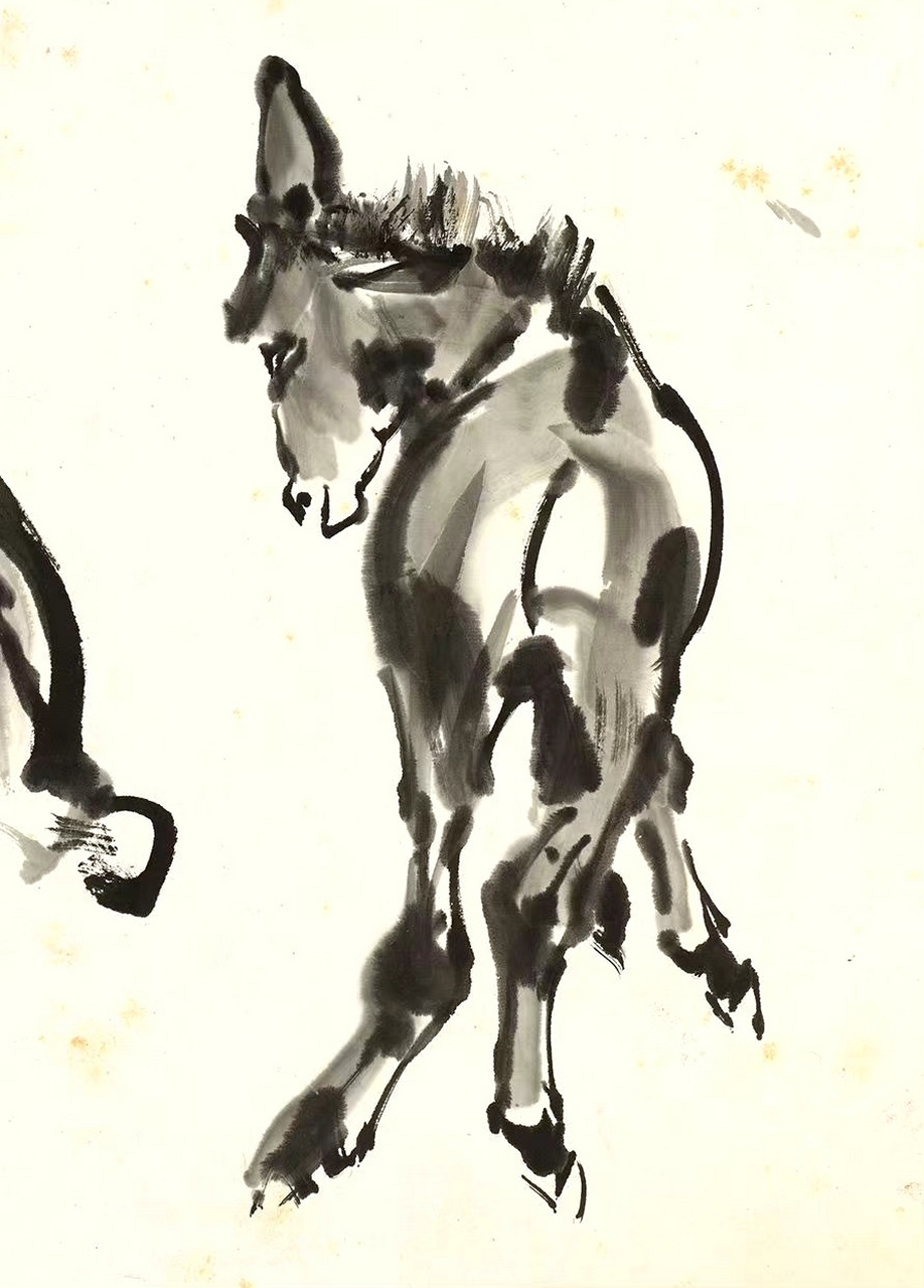 画家黄胄《群驴图》欣赏,用写意的风格描绘了活灵活现的毛驴,它们或坐