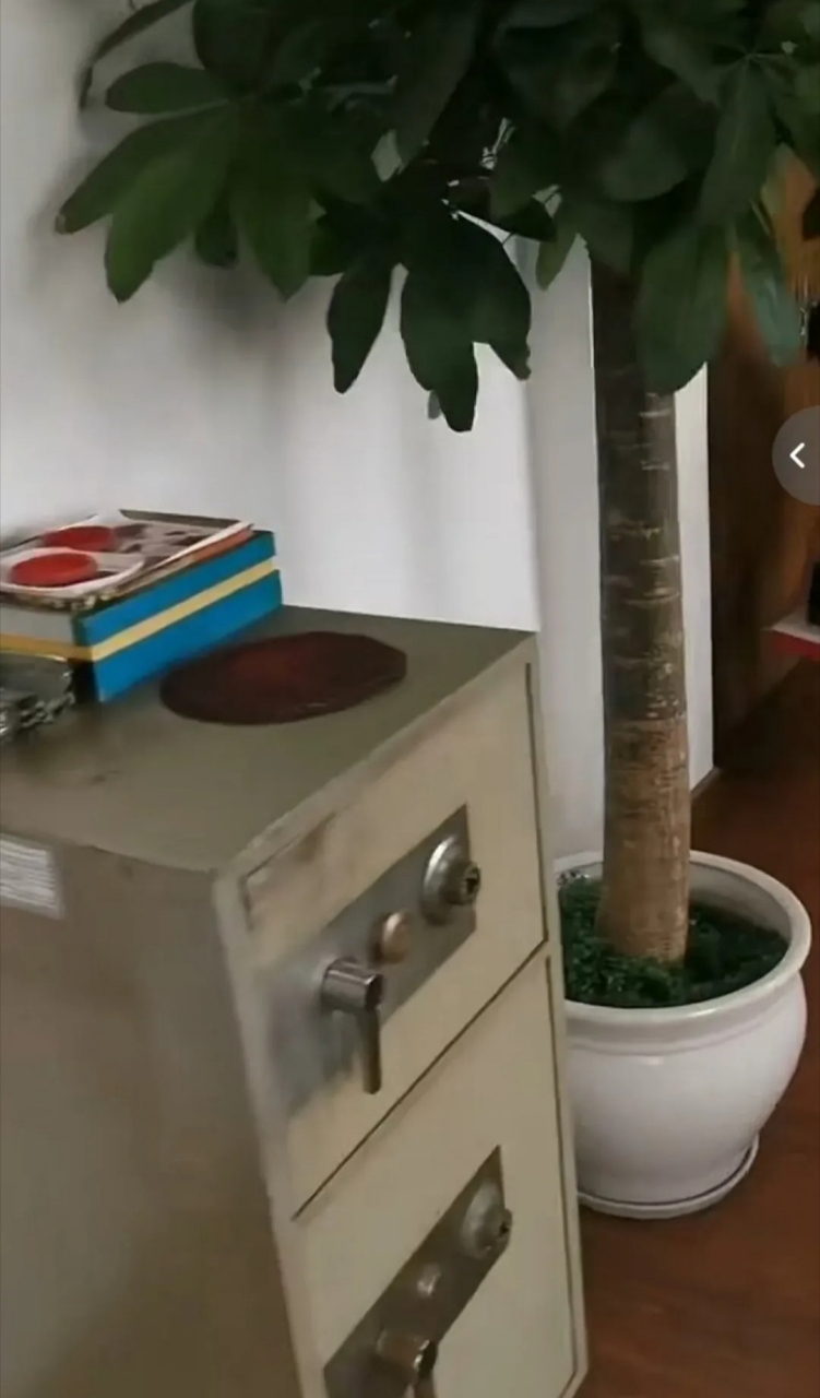 【中国首富宗庆后办公室曝光引网友惊叹】  中国首富,娃哈哈集团创始