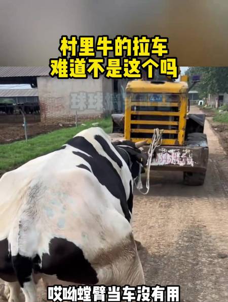 村里牛的拉车难道不是这个吗