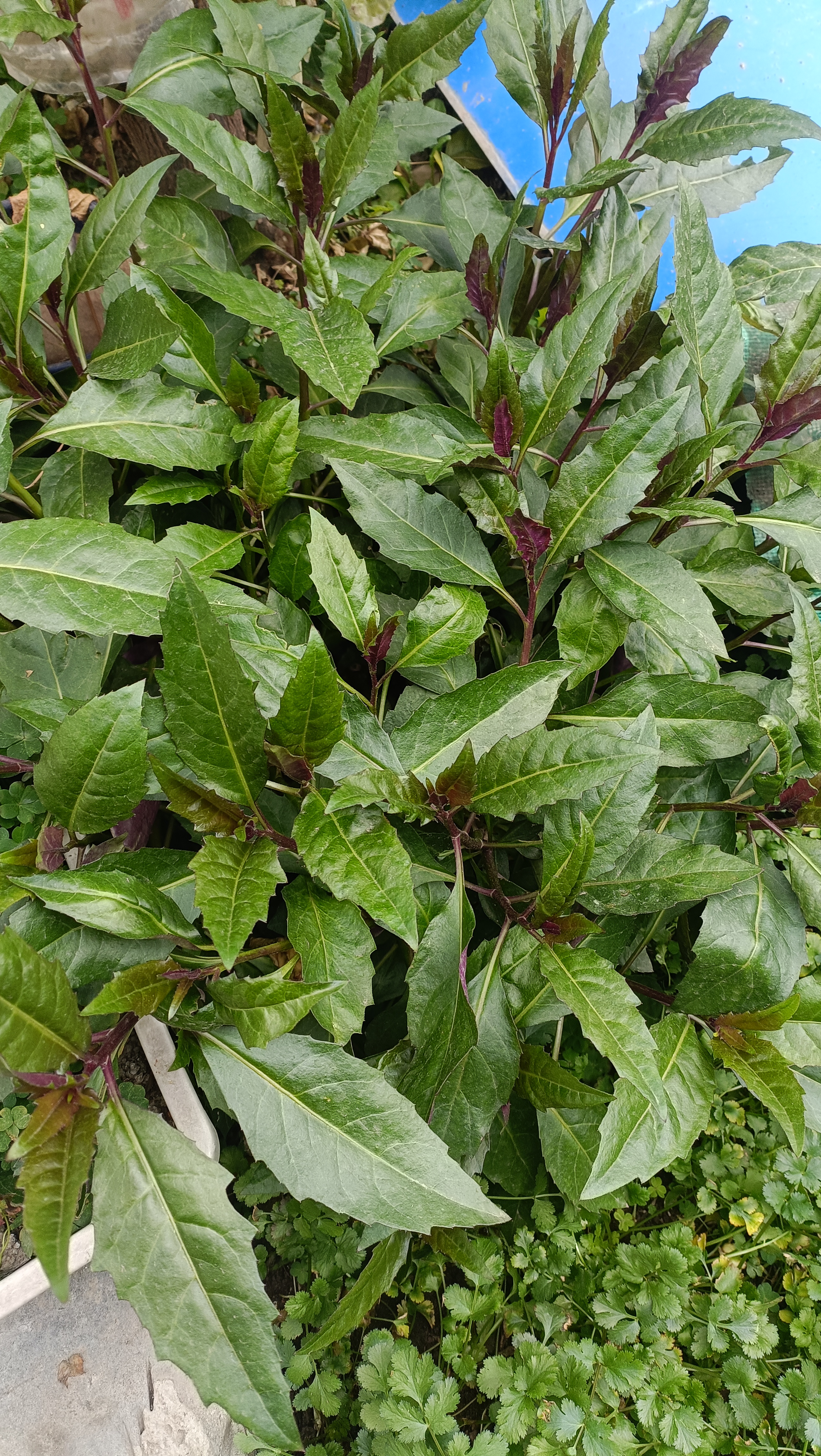 人不能待在"舒适圈"太久,想过什么