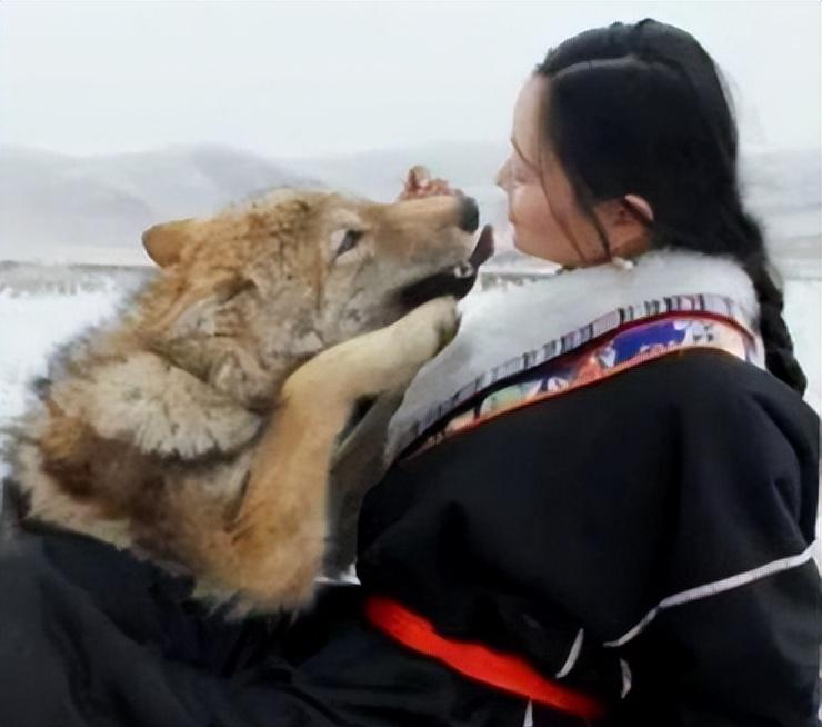 李微漪带着被起名为"格林"的小狼崽回到了家乡,她的男友亦风虽然震惊