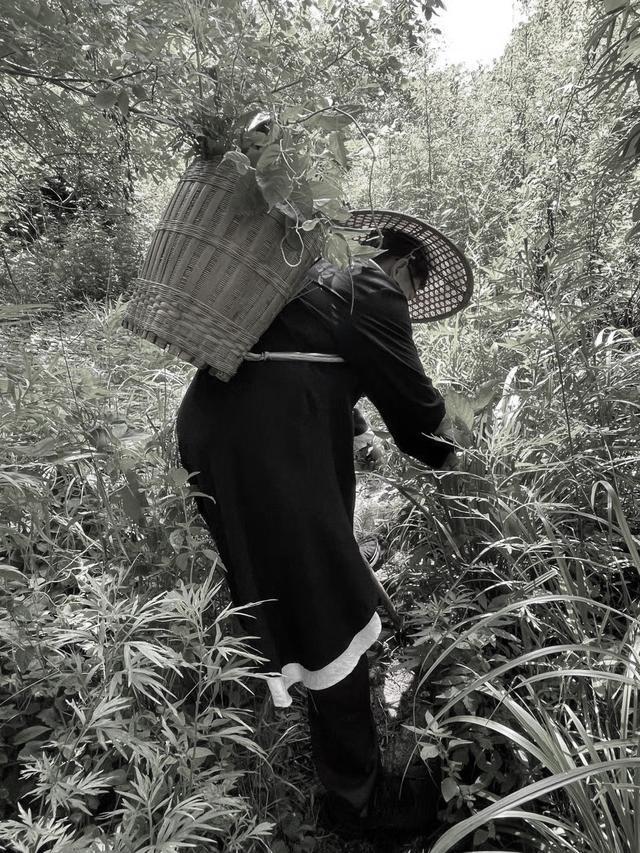 1896年,云南个旧的街头上,一个年轻人突然捂住腹部倒地不起.