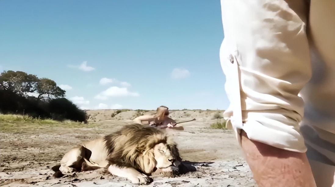 回顾捕食者晚年有多凄惨为啥只有饿死的狮子没有饿死的老虎