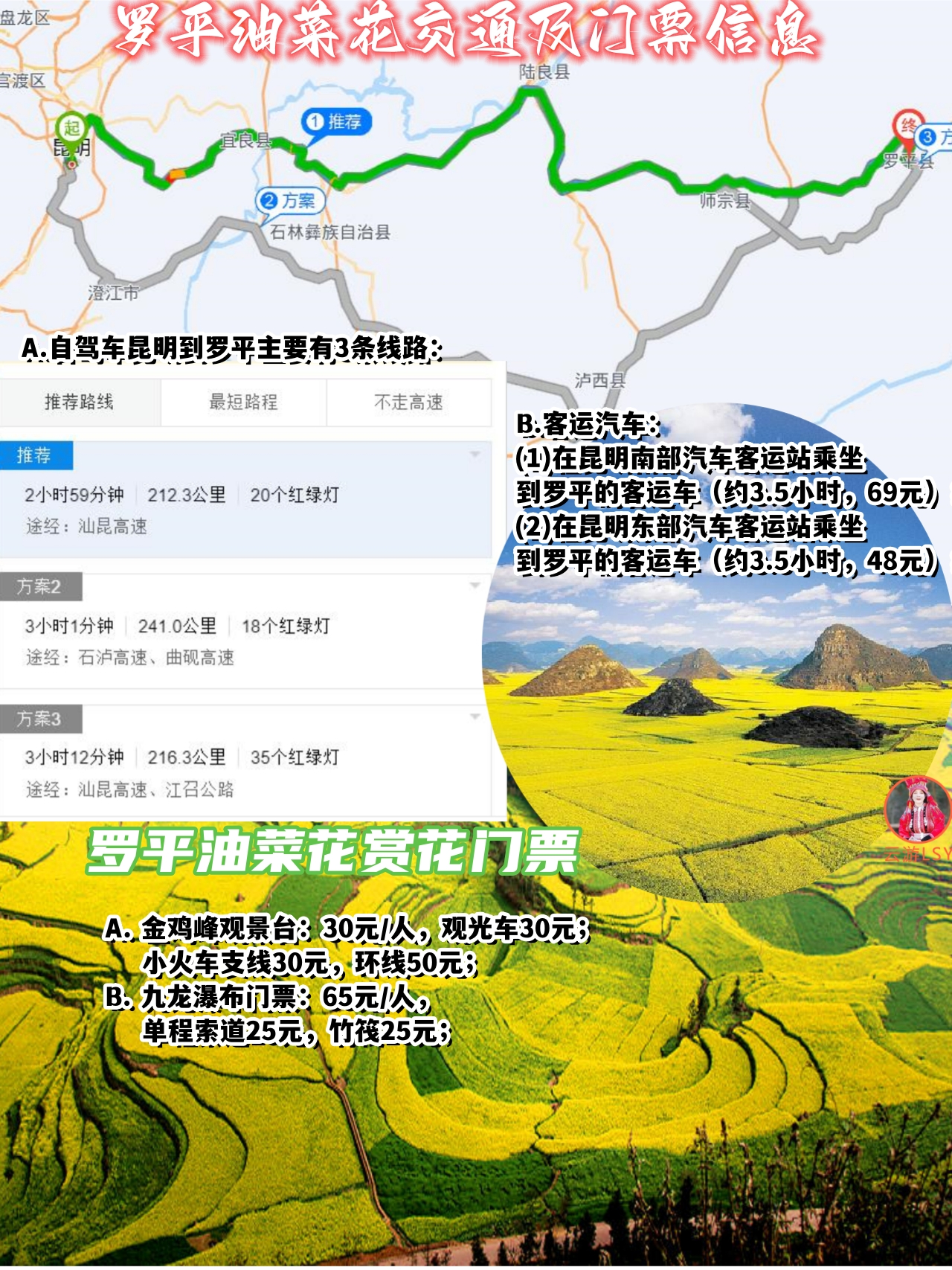 2024罗平油菜花赏花游玩全攻略