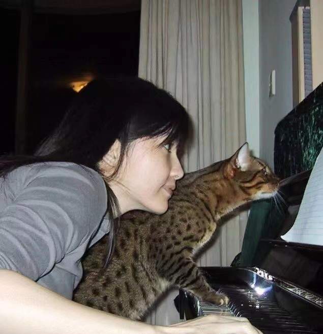 为爱归隐, 昔日女神只想做一个平凡的人妻