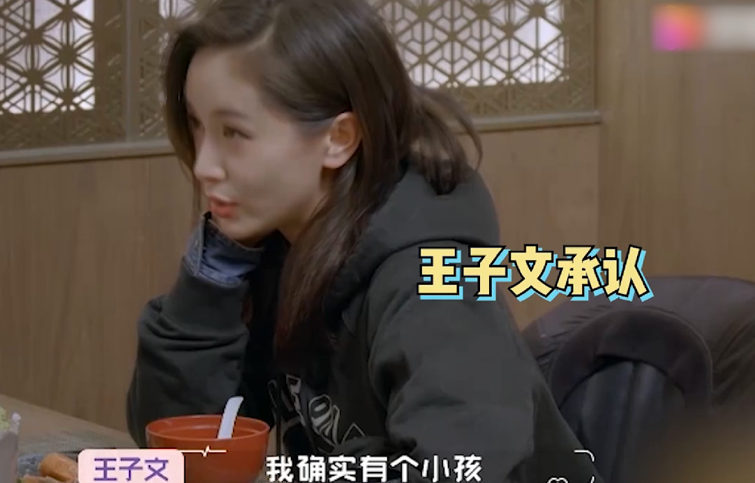 回顾王子文儿子生父是谁被曝是圈内大佬冯小刚见了都叫爷