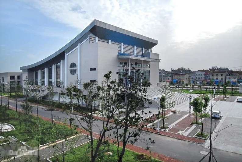 回顾拒绝被保送清华只为体验高考的贺维艺如今怎么样了