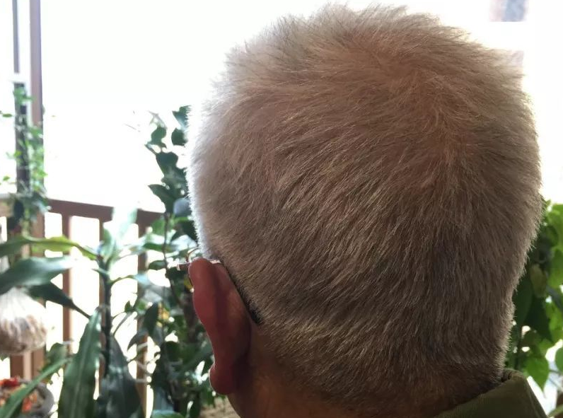 回顾15年老人见义勇为后被讹钱对方家属赔我五十万才行