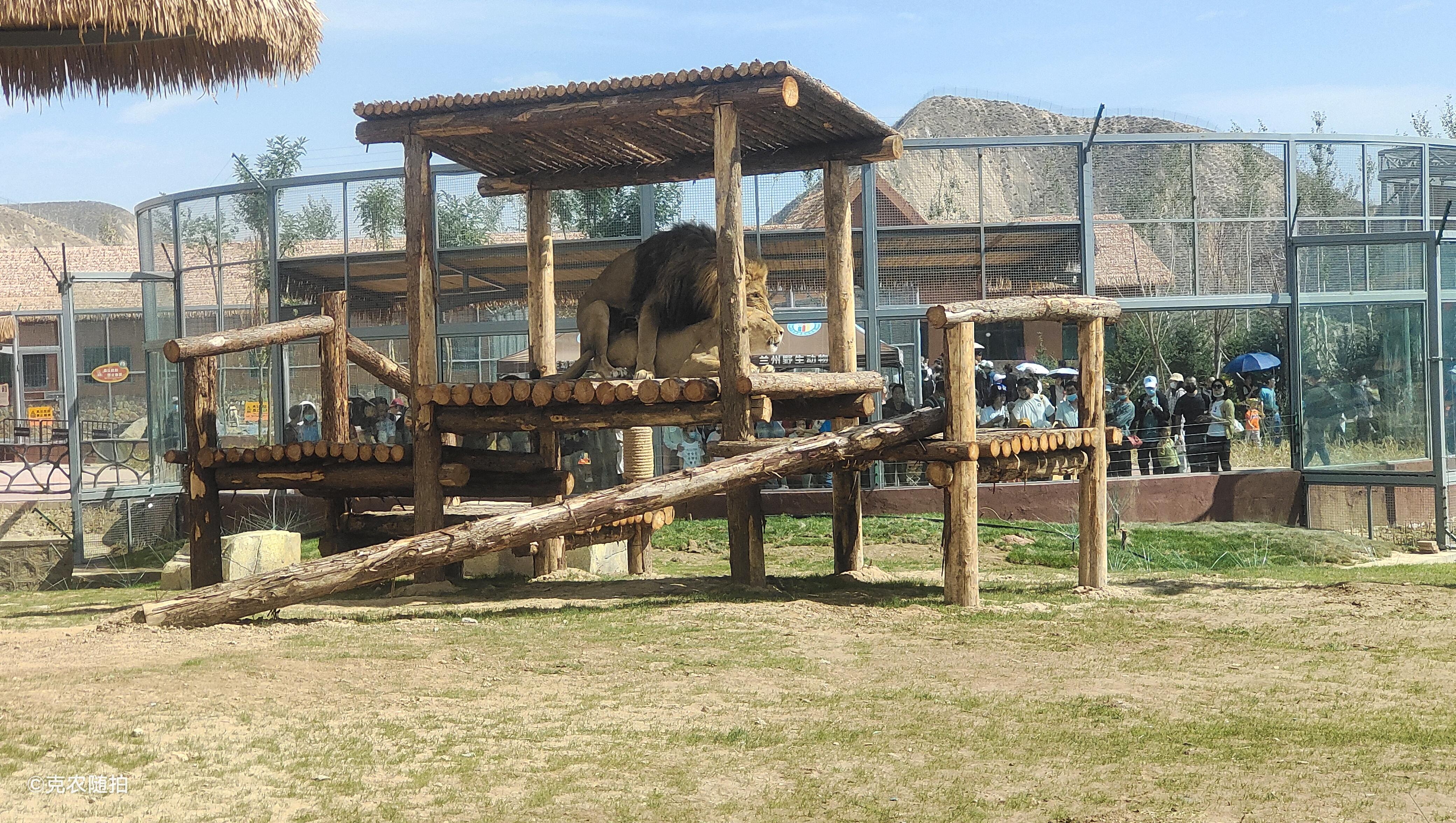 关于兰州野生动物园那些你想知道的事情