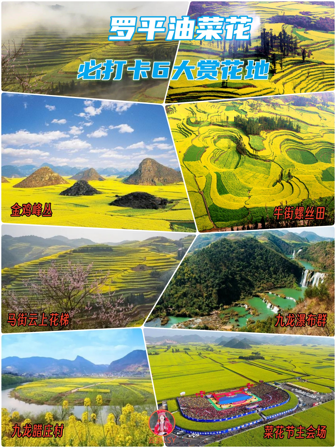 2024罗平油菜花赏花游玩全攻略