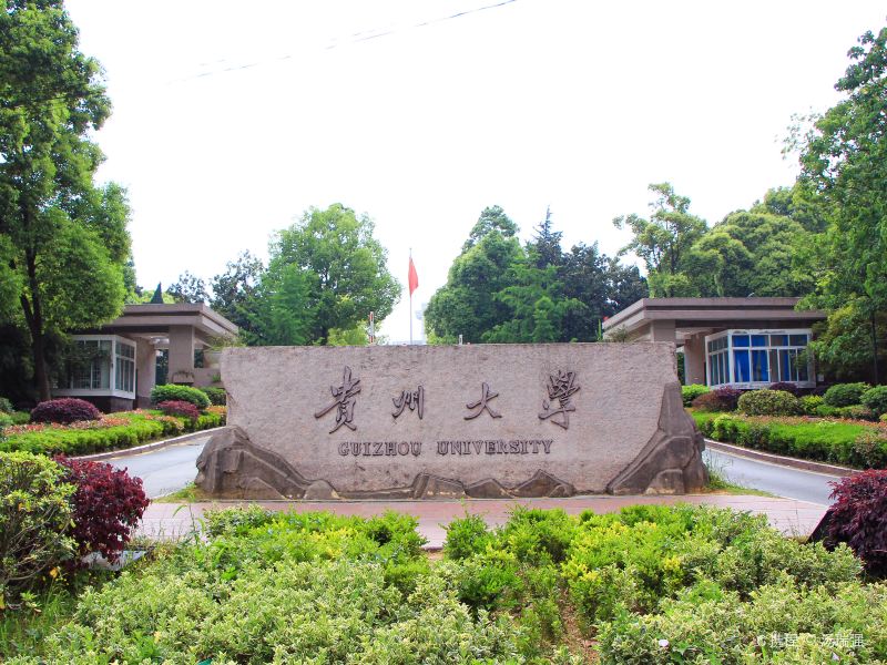 贵州哪所大学是211(贵州有211985大学排名)