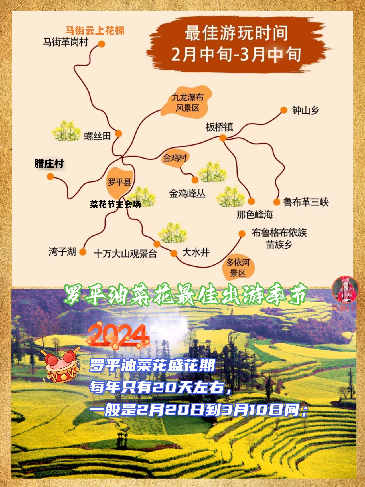 2024罗平油菜花赏花游玩全攻略