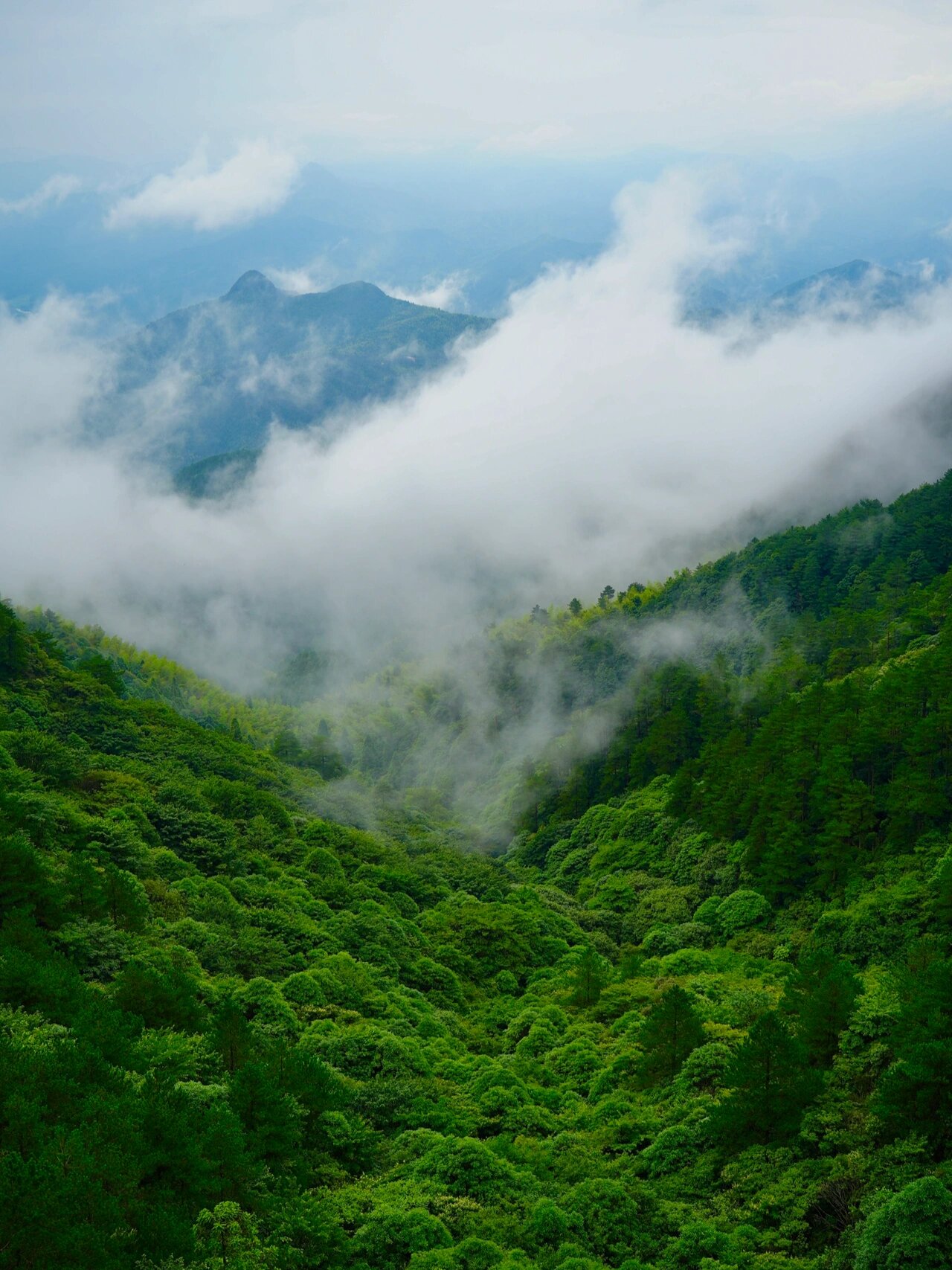 金饶山游玩攻略 金铙山| .@一路凯歌之行的动态