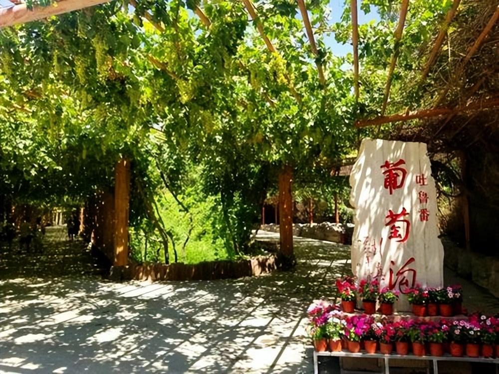 吐鲁番葡萄沟风景区