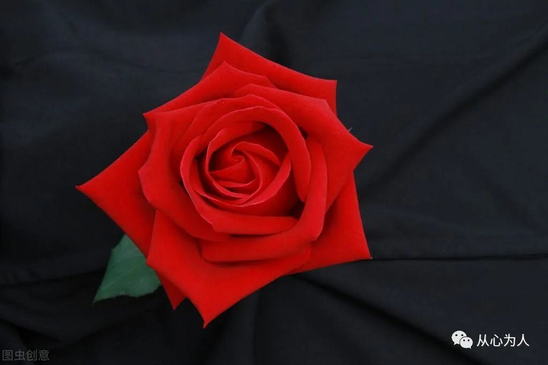 《人性的弱点》是戴尔·卡耐基的处世经典,被译成58种文字,销量达9000