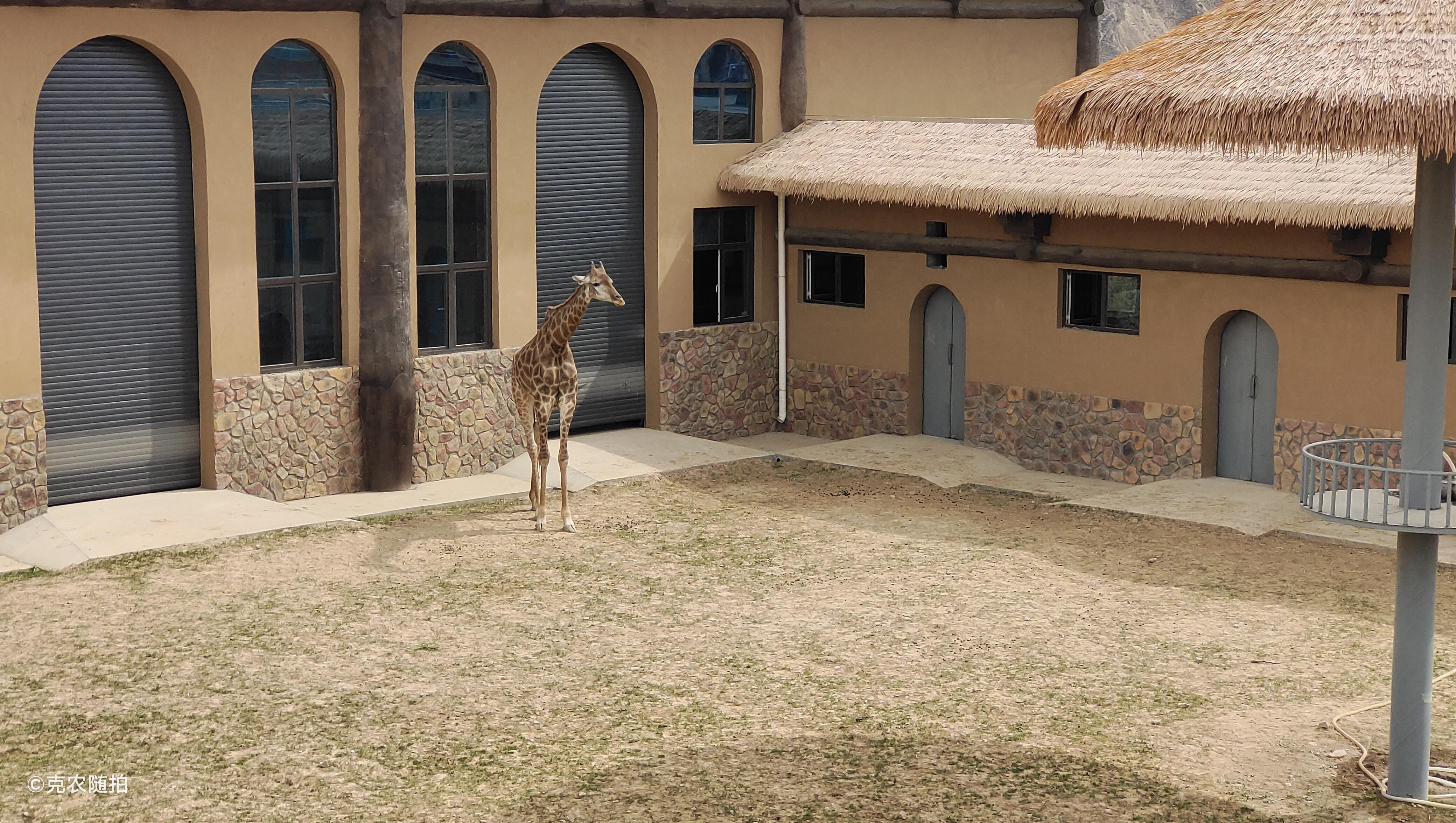 关于兰州野生动物园那些你想知道的事情