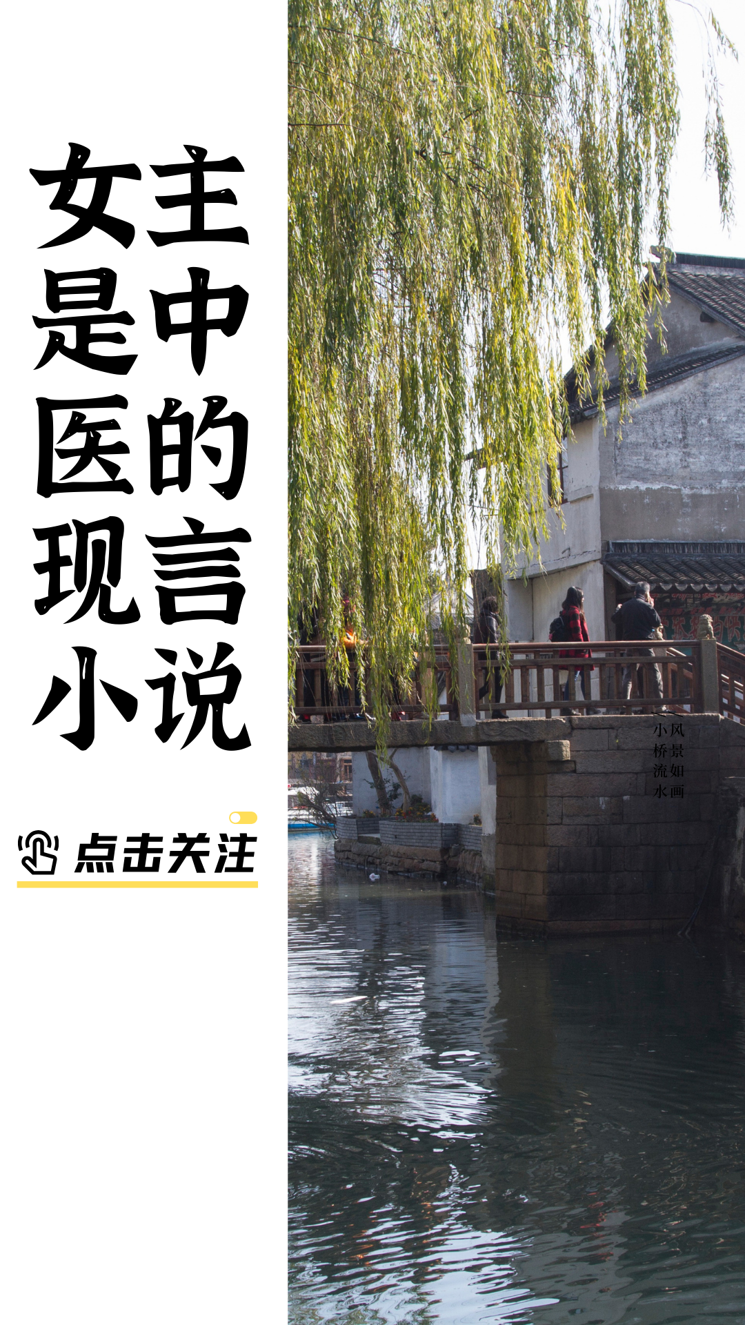重生女主会中医的小说