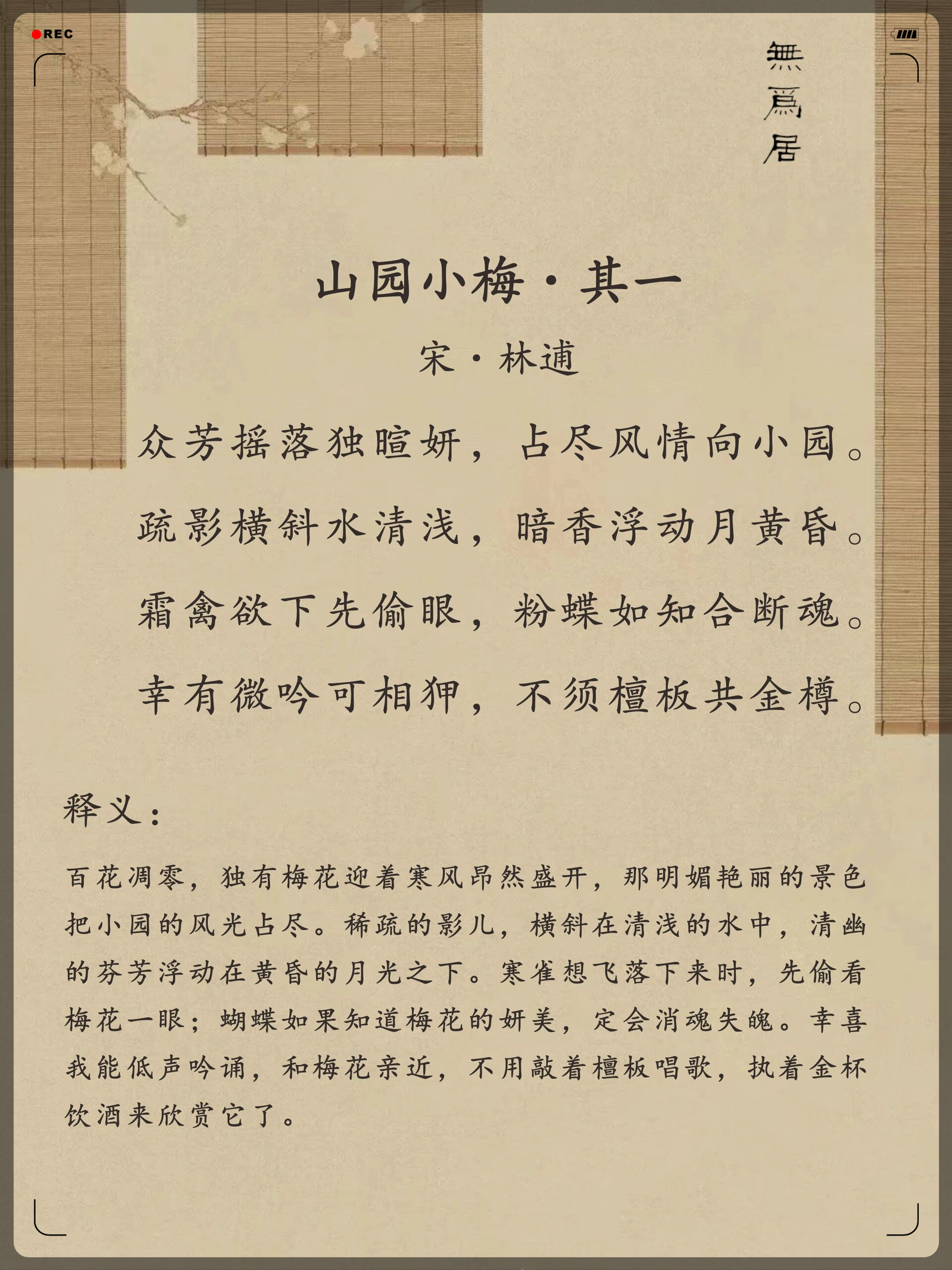 每日诗词|山园小梅·其一