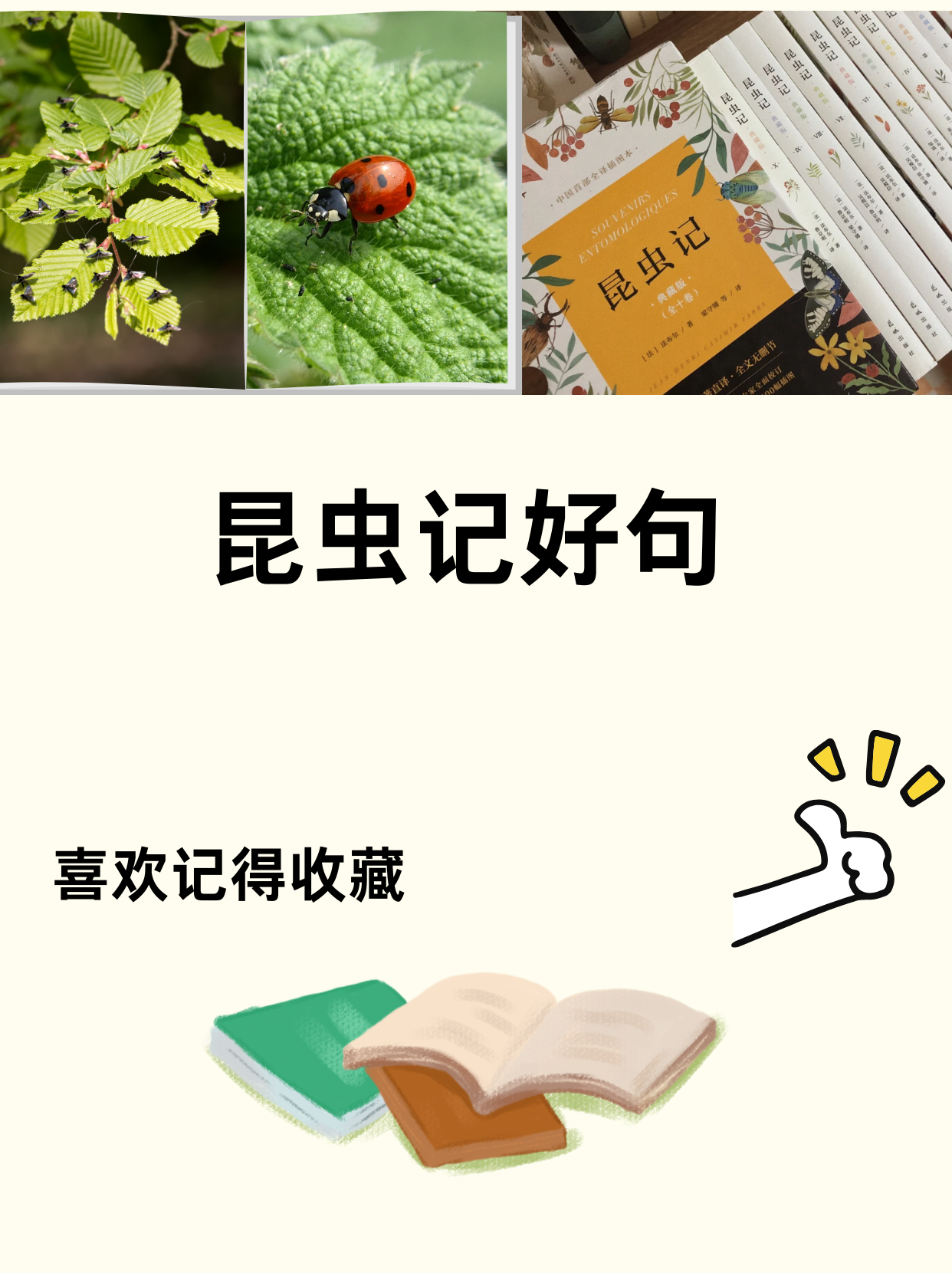 昆虫记好句 昆虫记好句