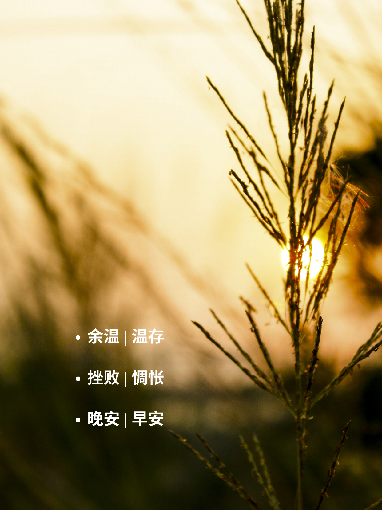 阴霾 | 晴空     晨曦 | 迟暮     余温 | 温存     挫败 | 惆怅