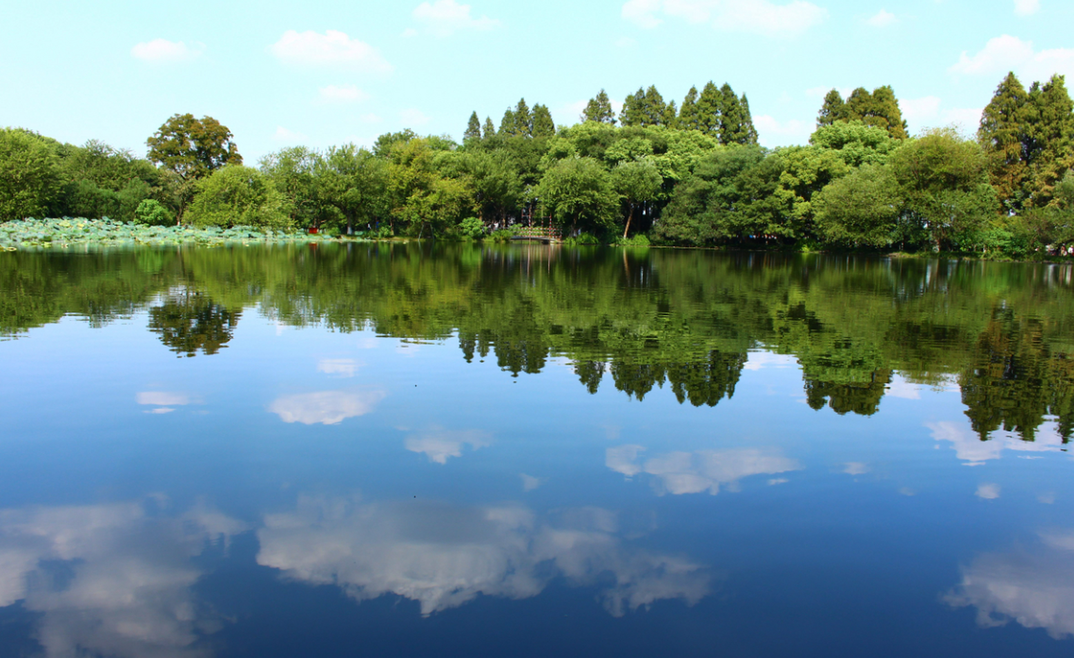 春季最佳旅游胜地(春季旅游去哪儿比较好)