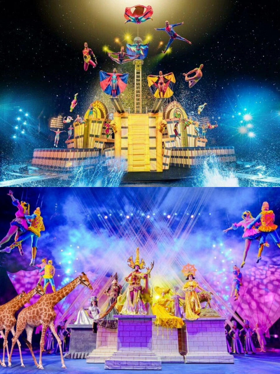 🎉旅游攻略:长隆大马戏,亲子时光,欢乐不停歇!