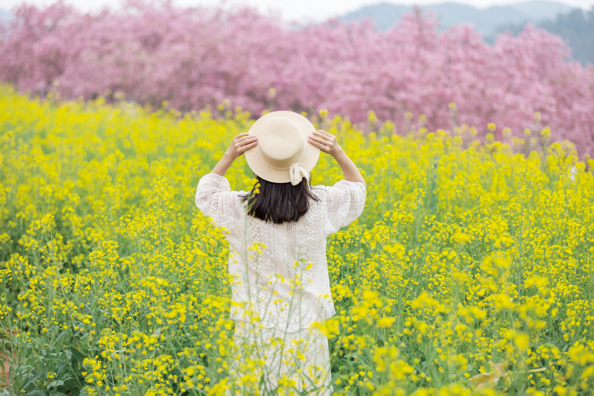 美女站在花海背影图图片