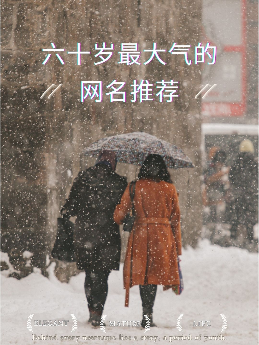 六十岁最大气的网名