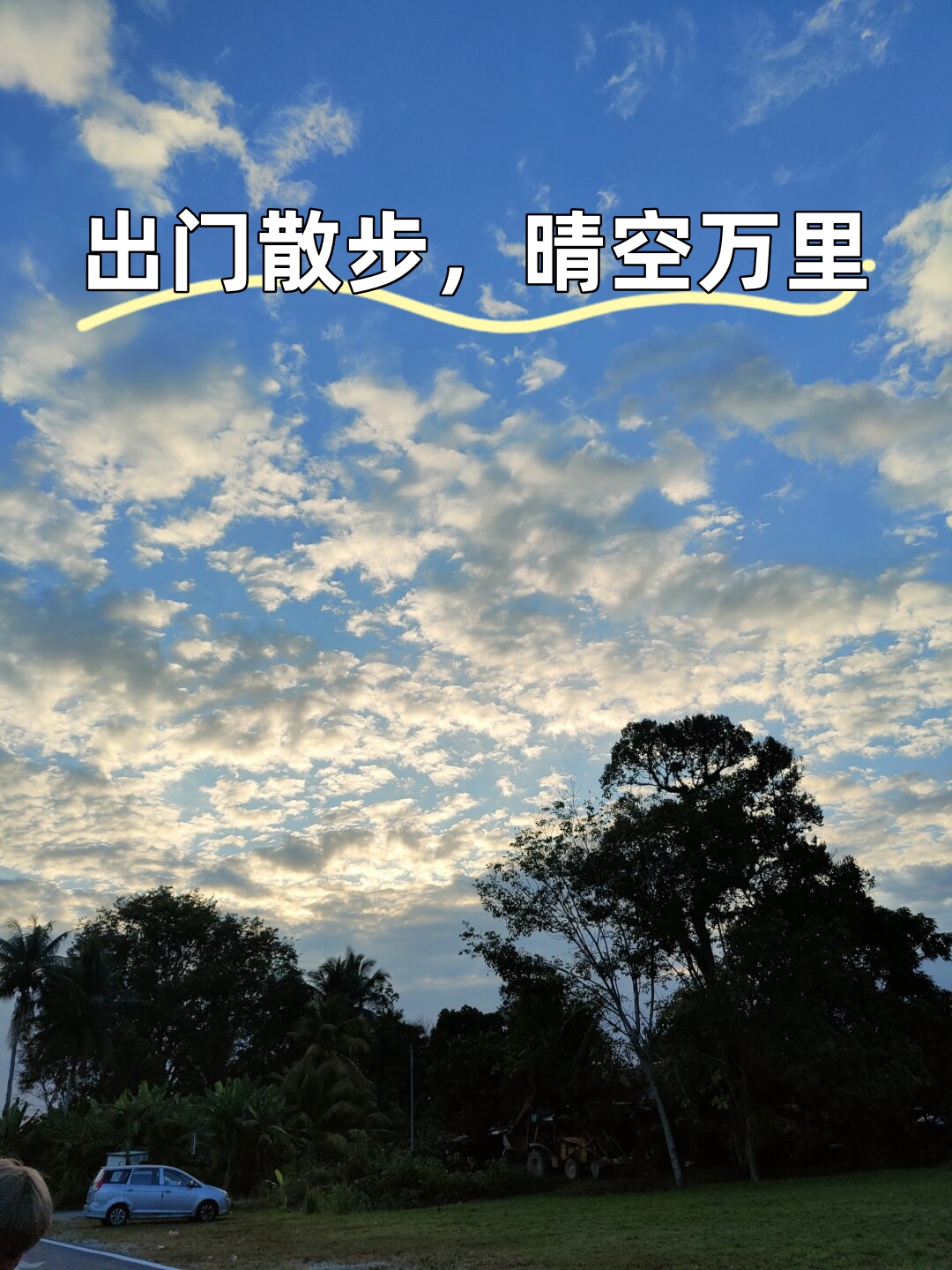 久违了那种脚踏车上的微风拂面抬头便是无垠