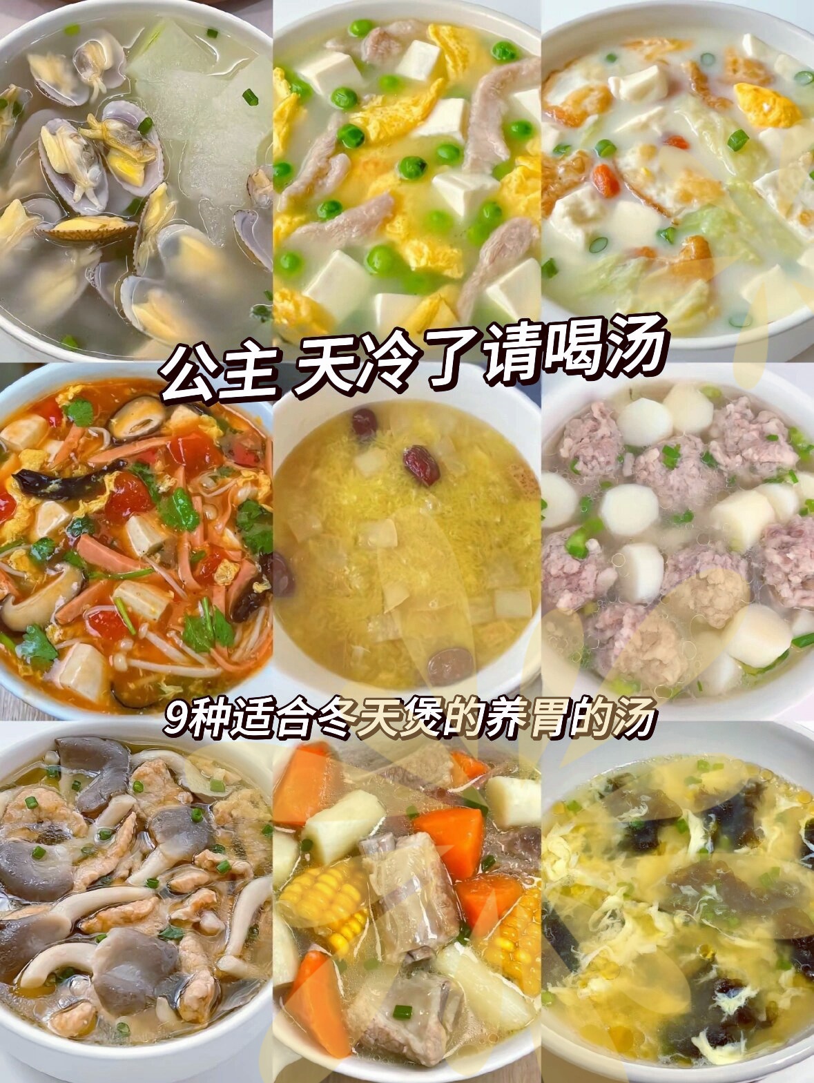 滋补养生汤的做法(有什么滋补养生的汤有哪些)